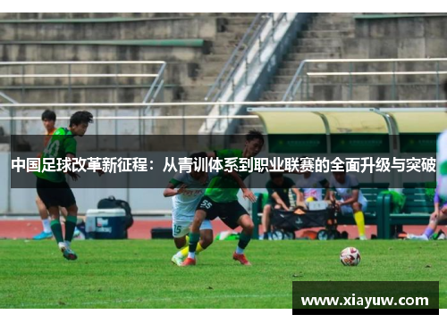 中国足球改革新征程：从青训体系到职业联赛的全面升级与突破