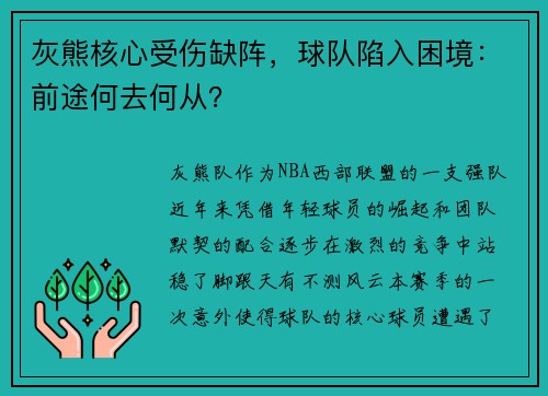 灰熊核心受伤缺阵，球队陷入困境：前途何去何从？